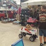 Dogs n dubs at Busfest